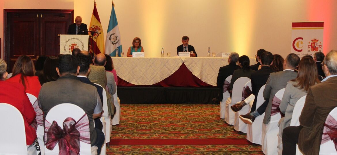 WhatsApp Image 2025-09-22 at 09.26.06 (5)