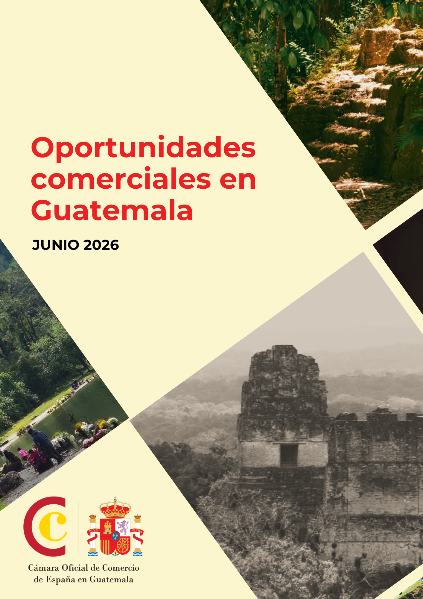CÁMARAS JUNIO 2026